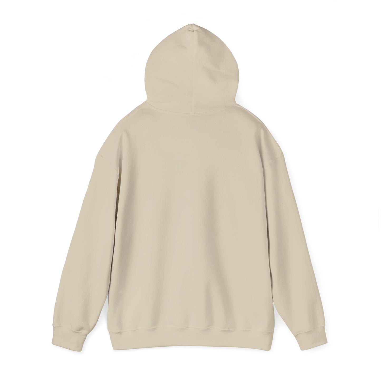 Lion of Judah Hoodie — Watercolor Lion Faith Pullover