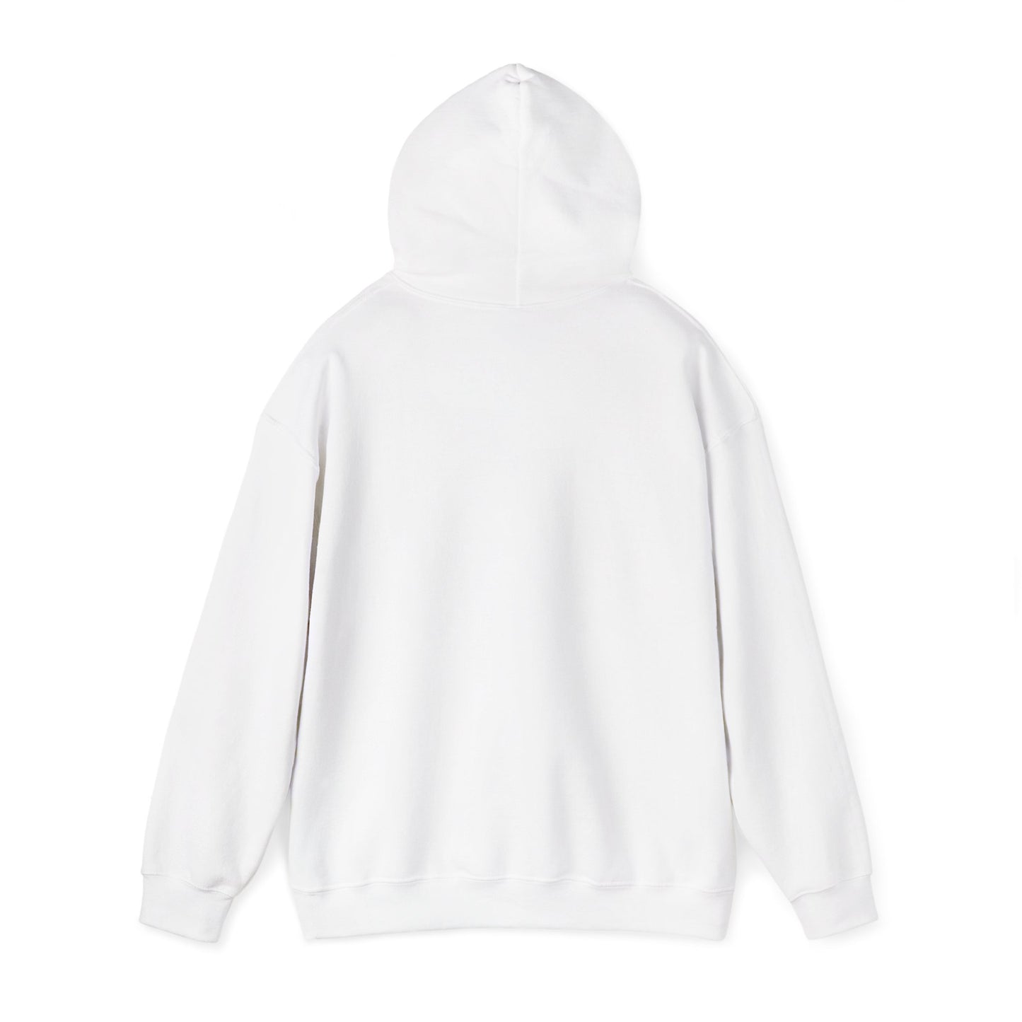 Lion of Judah Hoodie — Watercolor Lion Faith Pullover