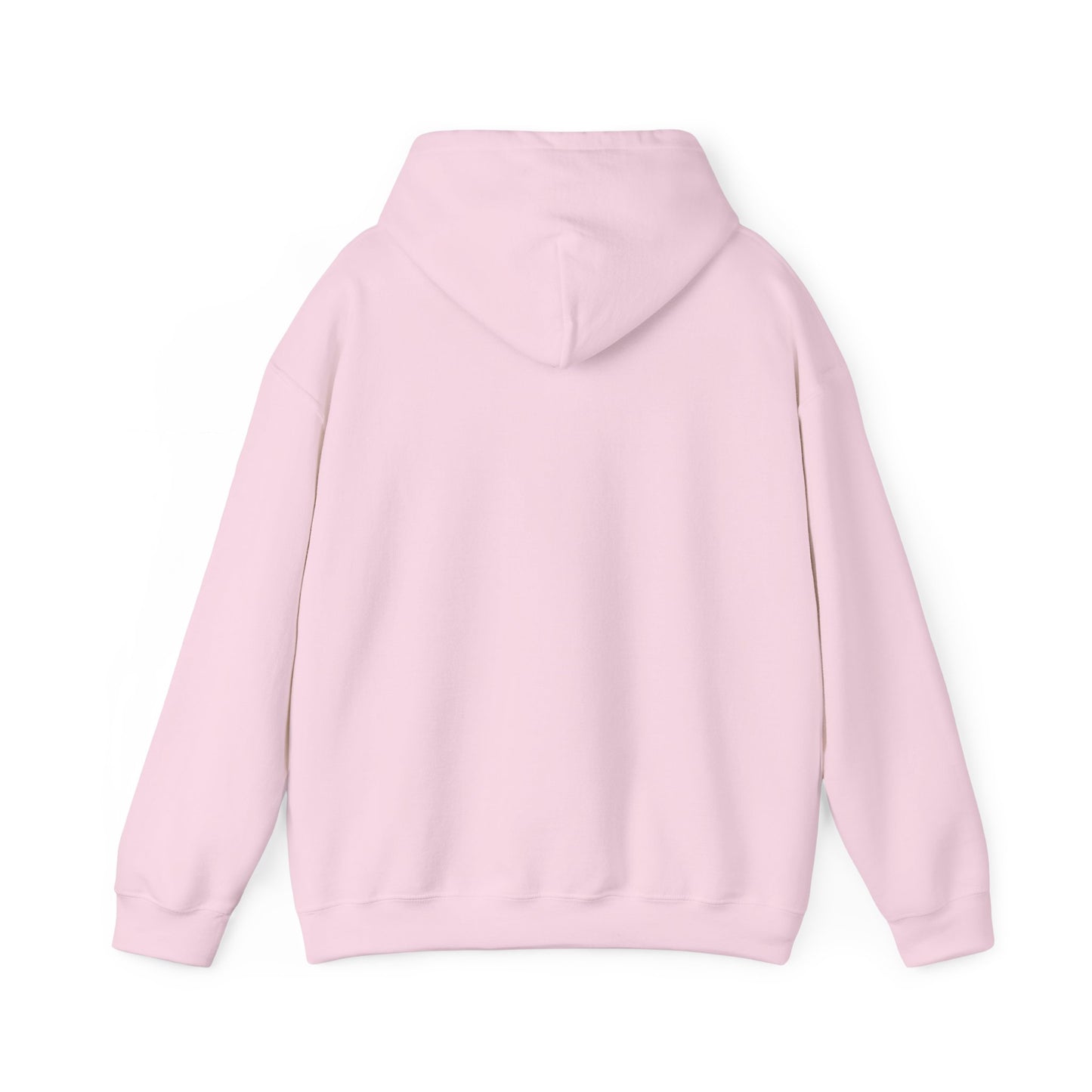 Lion of Judah Hoodie — Watercolor Lion Faith Pullover