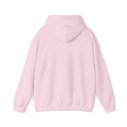 Lion of Judah Hoodie — Watercolor Lion Faith Pullover