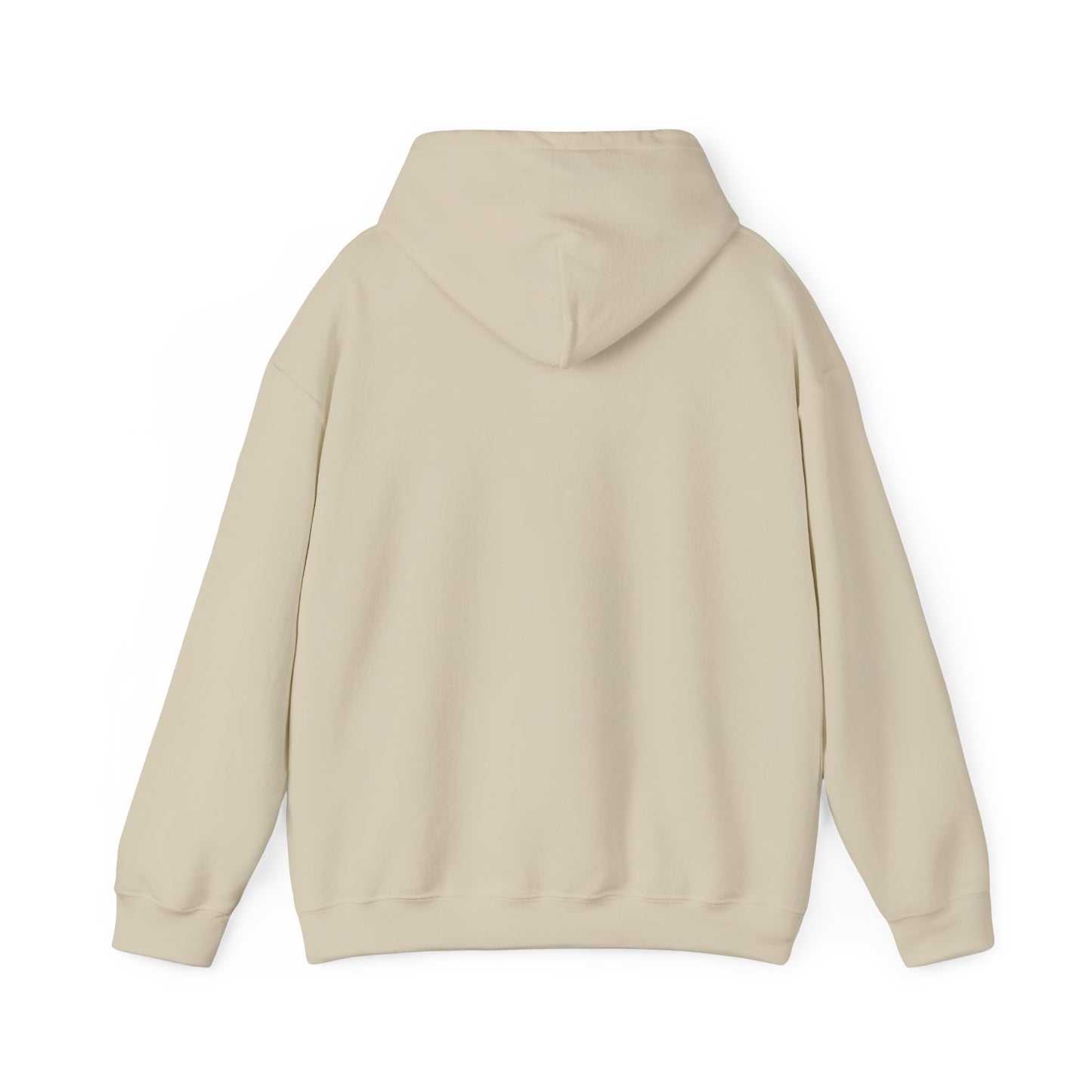 Lion of Judah Hoodie — Watercolor Lion Faith Pullover