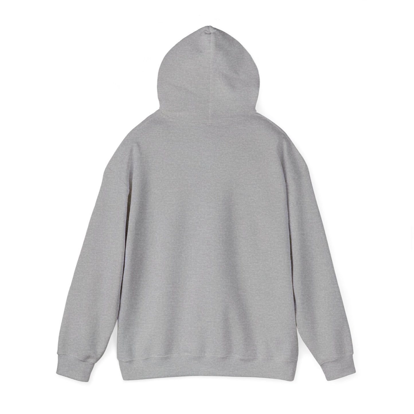 Lion of Judah Hoodie — Watercolor Lion Faith Pullover