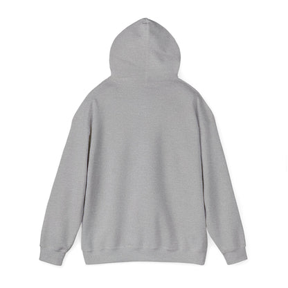 Lion of Judah Hoodie — Watercolor Lion Faith Pullover