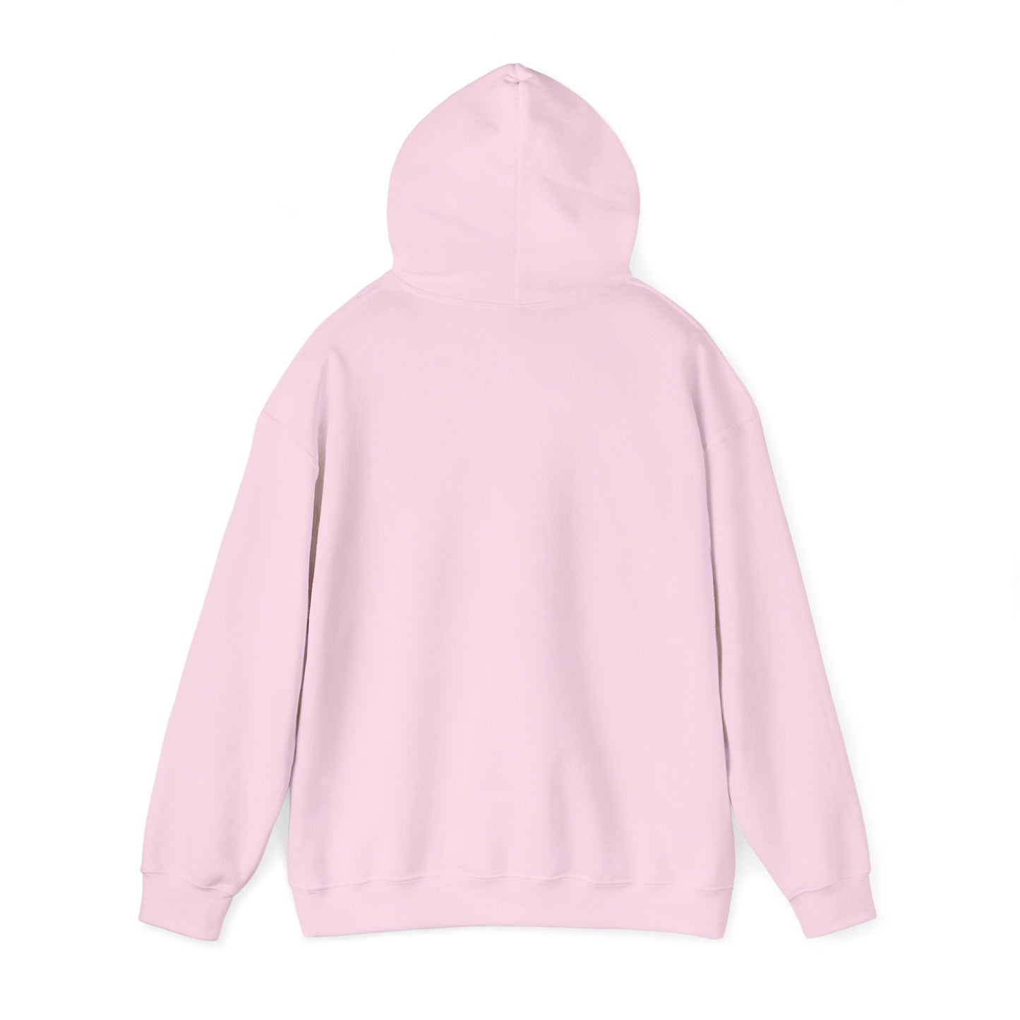Lion of Judah Hoodie — Watercolor Lion Faith Pullover