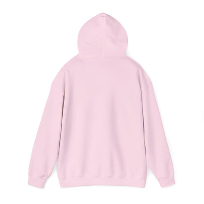 Lion of Judah Hoodie — Watercolor Lion Faith Pullover