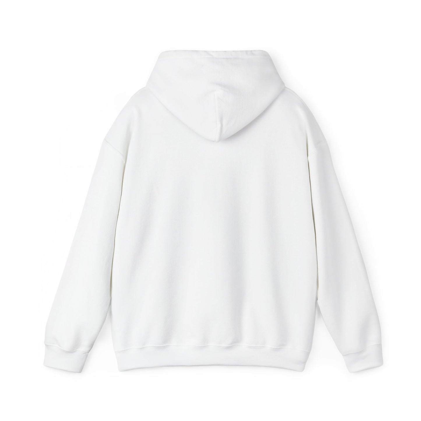 Lion of Judah Hoodie — Watercolor Lion Faith Pullover