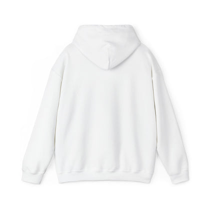 Lion of Judah Hoodie — Watercolor Lion Faith Pullover