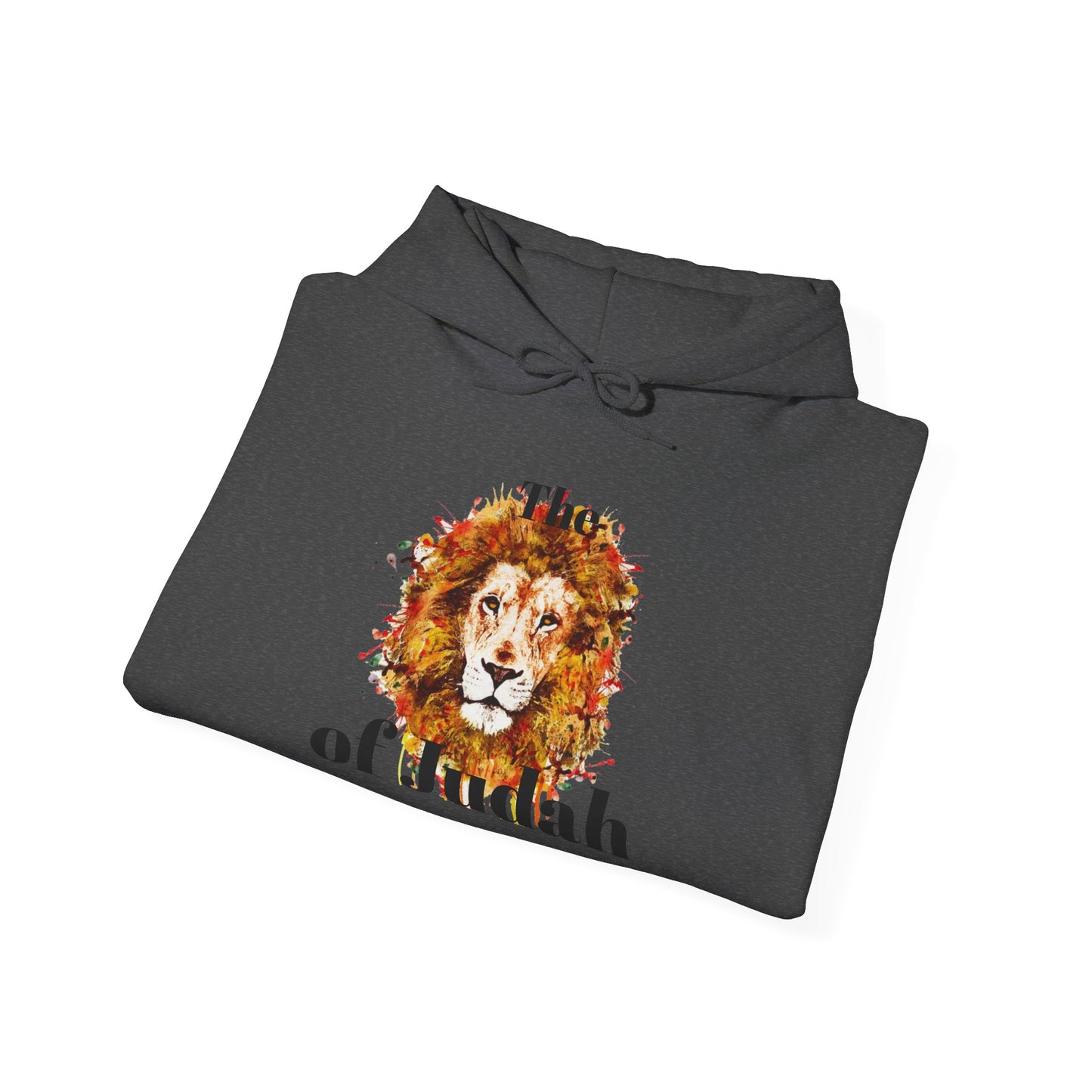 Lion of Judah Hoodie — Watercolor Lion Faith Pullover