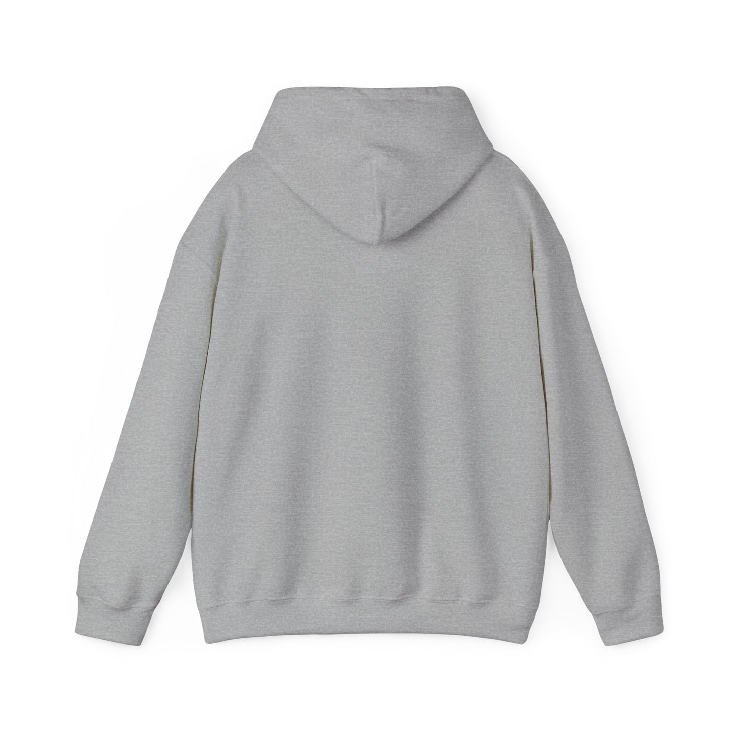 Lion of Judah Hoodie — Watercolor Lion Faith Pullover