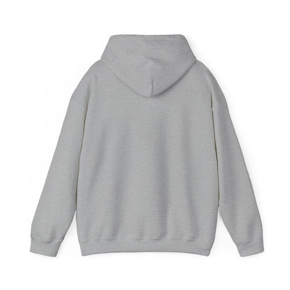 Lion of Judah Hoodie — Watercolor Lion Faith Pullover