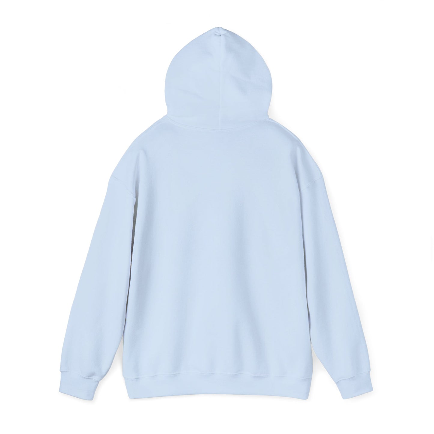 Lion of Judah Hoodie — Watercolor Lion Faith Pullover