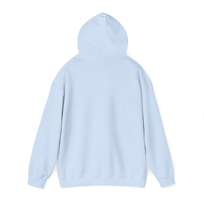 Lion of Judah Hoodie — Watercolor Lion Faith Pullover
