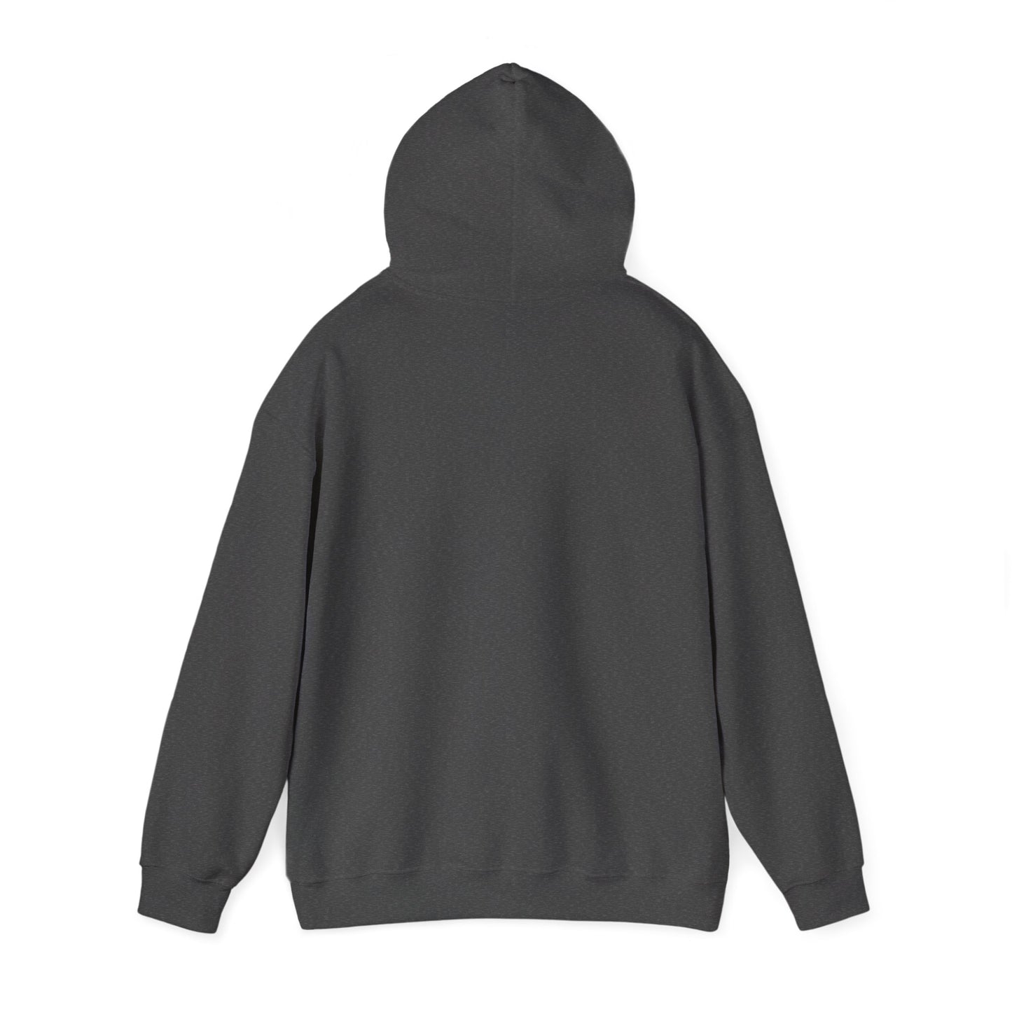 Lion of Judah Hoodie — Watercolor Lion Faith Pullover