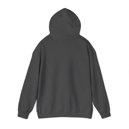 Lion of Judah Hoodie — Watercolor Lion Faith Pullover