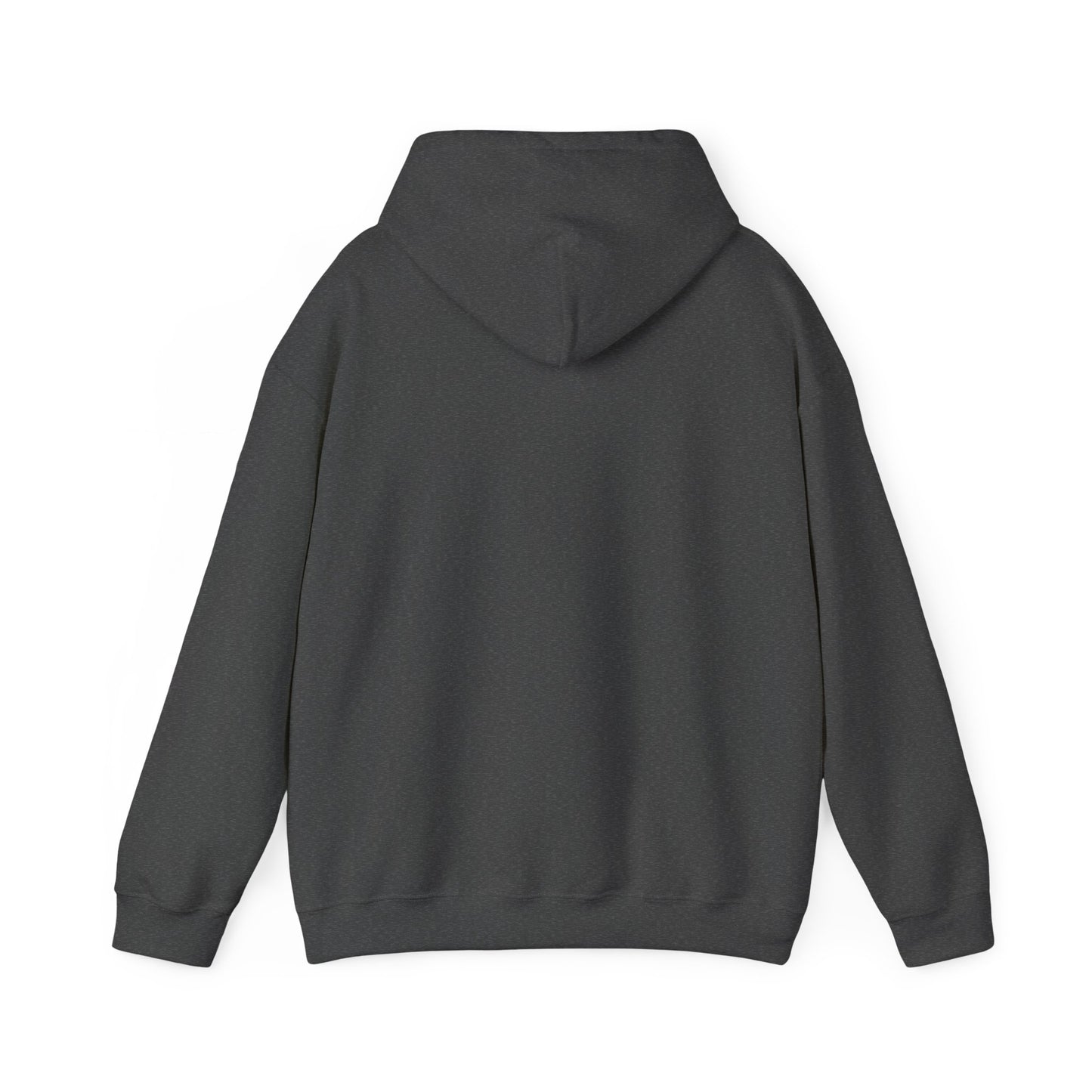 Lion of Judah Hoodie — Watercolor Lion Faith Pullover