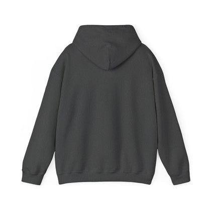Lion of Judah Hoodie — Watercolor Lion Faith Pullover