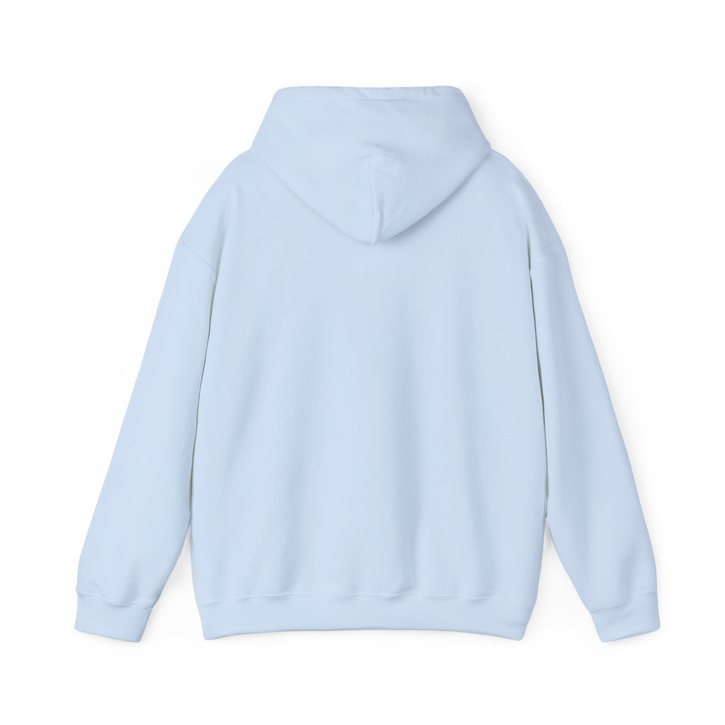 Lion of Judah Hoodie — Watercolor Lion Faith Pullover