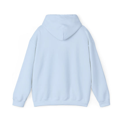 Lion of Judah Hoodie — Watercolor Lion Faith Pullover